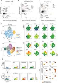 Aging Promotes Reorganization Of The Cd4 T Cell Landscape