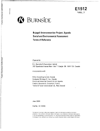 Image result for Pseudobromus engleri