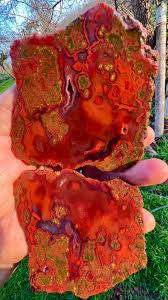 Image result for Agate Red Brown 1956 Wayne Works