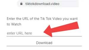 Two easy steps (yes, copy and paste) to download tiktok video without watermark, and it's … Tiktok Video Url Download