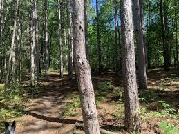 Local recreation destination