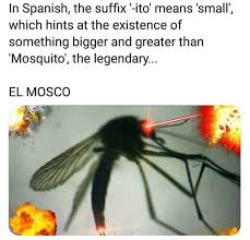 Si te gusta este tipo si te ha gustado, este video titulado mosquito gigante encontrado en cordoba argentina. So They Found Giant Mosquitoes In Argentina They Re Called Gallinipper Normal One For Scale 9gag