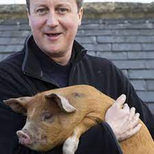 We were unable to load disqus. David Cameron Hat Seinen Penis In Ein Schwein Gesteckt Behauptet Ein Neues Buch
