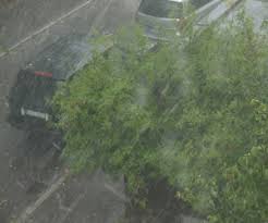 Starke unwetter und gewitter in niedersachsen / deutschland. Starkstes Unwetter Seit Jahren In Nrw Proplanta De