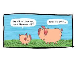 We did not find results for: Und Piggeldy Fragte Frederick Medienmagazin Dwdl De Facebook
