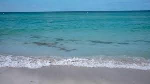 It Was Nice To Swim For The First Time In Weeks @ Anna Maria Island :  R/Florida