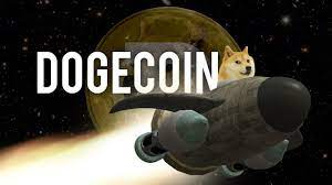 Świat tik tok oszalał na punkcie doge! D Is For Dogecoin Youtube