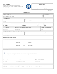 SEEC FORM 30 COVER PAGE