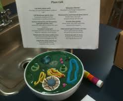 Aug 11, 2021 · study flashcards on 6th grade science (plant & animal cells) at cram.com. Smart Idea Cell Project Ideas 6th Grade