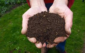 We did not find results for: Composting Services City Of Spokane Washington