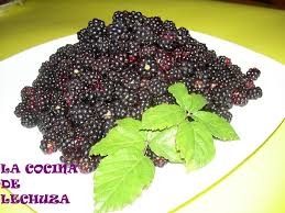 Meld u nu aan en ontdek wat lechuza allemaal te bieden heeft. Moras Crudas Un Buho En La Cocina Flickr