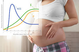 Hcg Calculator Beta Hcg Levels Chart Hcg Doubling Calculator