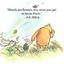 Return this item for free. Pin By Nicole Laurel On In Spirit Winnie The Pooh Quotes Pooh Quotes Pooh