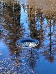 Your pictures of Scotland 26 March