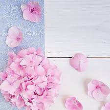 85 Likes 1 Comments صور تصاميم Rosie Pic 03 On Instagram خلفية من حساب A Aisha87 A Aisha87 A Ai Wallpaper Keren Wallpaper Backgrounds Flowers