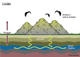 Resultado de imagem para imagens de lixões