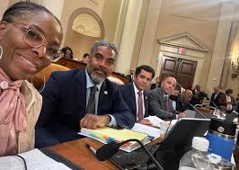 Congresswoman Stacey Plaskett