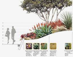Uc berkeley's spring 2021 plans for instruction announced. Berkeley Landscape Architecture Firms Landscapingarchitecture Landschaftsarchitektur Zeichnung Landschaftsdesign Landschaftsplane