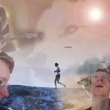 Fundraiser by Marc Bacon : Torbay Half Marathon for Shaldon Wildlife Trust