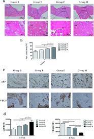 Maybe you would like to learn more about one of these? Comparison Between Mandibular And Femur Derived Bone Marrow Stromal Cells Osteogenic And Angiogenic Potentials In Vitro And Bone Repairing Ability In Rsc Advances Rsc Publishing Doi 10 1039 C7ra07139f