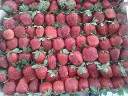 92 nc male 751 νηρεασ φωτιαδησ 2010 0:00. Leon Fruit Home Facebook