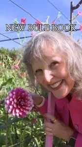 Witch Hazel or Hamamelis