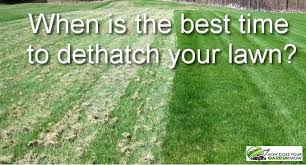 How often should you dethatch bermuda grass? When Is The Best Time To Dethatch Your Lawn How Does Your Garden Mow