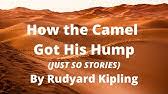 Now this is the next tale, and it tells how the camel got his big hump. How The Camel Got His Hump Brand New 2018 Summer Release Youtube