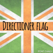 I Never Understood Why Though I Mean They Use The Colors Of The Irish Flag And Use The Uk Flag W One Direction Humor One Direction Pictures Scared To Love