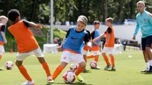Royal dutch football association ('knvb') director of football development and former psv eindhoven academy director. Knvb