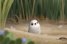 Image result for Piper