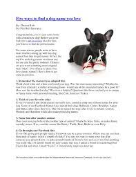The next step — how to name your dog, and in particular, how to name a dog in a cool, creative, clever, and uncommon way, is a bit of a more difficult one. Five Ways To Find A Dog Name You Love
