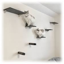 Pin On Diy Cat Shelves