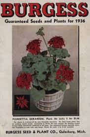 Burgess Guaranteed Seeds And Plants For 1936 Burgess Seed And Plant Co Free Download Borrow And Streaming Internet Archive Garden Seeds Packets Plants Seeds