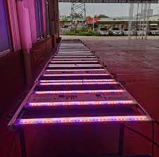 Grow light, briignite led grow light, brq 600w led grow light, full spectrum led grow light with sumsung lm281b leds, 2x2ft coverage plant grow light, dimmable grow light for indoor plants, seedling spider farmer 2x2 ft led grow light use with samsung leds sunlike full spectrum grow lights for indoor plants seeding veg flower greenhouse growing. China Water Cooling Led Grow Light China Plant Growing Grow