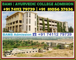 Tüm hakları saklıdır tasarım ve uygulama heweso. Best Bams Ayurvedic Medical Colleges Bams Direct Admission I In Wilson Garden Professional Degree College In Wilson Garden Bangalore Click In
