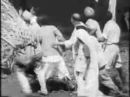 Image result for John Ross TRAVANCORE