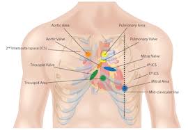 Document covering atherosclerotic disease of extracranial carotid and vertebral, mesenteric, renal, upper and lower extremity arteries Cardiac Exam Ii Auscultation Protocol