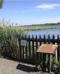Escape The Hipsters Head For Marine Park Brooklyn Daily Eagle Park Marine Nature Preserve