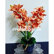 Demonstrasi bagaimana menggubah orkid latex yang cantik dan menggunakan pasu yang bersaiz besar. Gubahan Orkid Latex Premium Cymbidium Shopee Malaysia