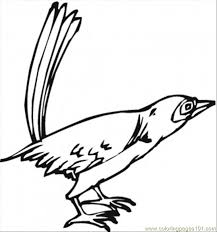 Wild stallion of the rockies pbs documentary on the life of a wild horse in the mountains of montana. California Bird Coloring Page For Kids Free Usa Printable Coloring Pages Online For Kids Coloringpages101 Com Coloring Pages For Kids