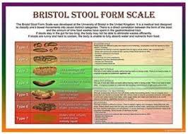 bristol stool scale laminated health chart a4 bristol