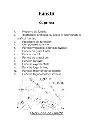 Doc Functii Cuprins Diana Enache Academia Edu