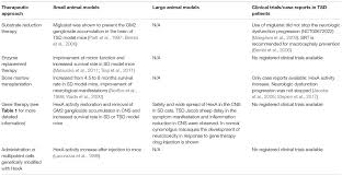 Frontiers New Approaches To Tay Sachs Disease Therapy