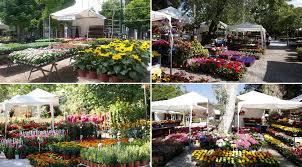 The Top 5 European Alternatives To The Chelsea Flower Show Destinology