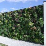 Solutions D Urbanisme Vegetal Jardines Verticales Muros Verdes Muros