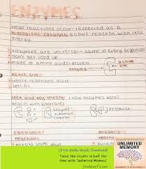 Pin By Kayleigh Econompu On Study Stuff Gcse Biology Revision Gcse Science Revision Gcse Science