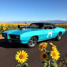 Image result for Crystal Turquoise 1969 Firebird