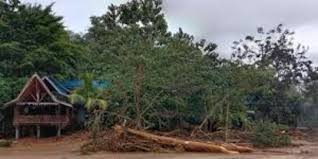 Sketsa gambar bunga berikut cocok untuk kamu yang masih belajar membuat sebuah sketsa sebelum membuat sketsa pemandangan, sketsa wajah/manusia, dll. Banjir Bandang Di Sungai Landak Tak Pengaruhi Wisata Bukit Lawang Ini Faktanya Merdeka Com