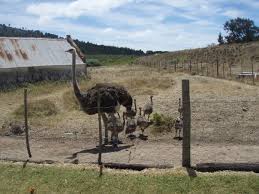 13862_374375260432_821375432_10156537_4058690_n